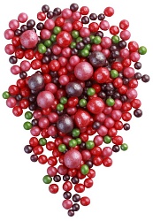 Драже зерновое в кондитерской глазури №175 0,05 кг